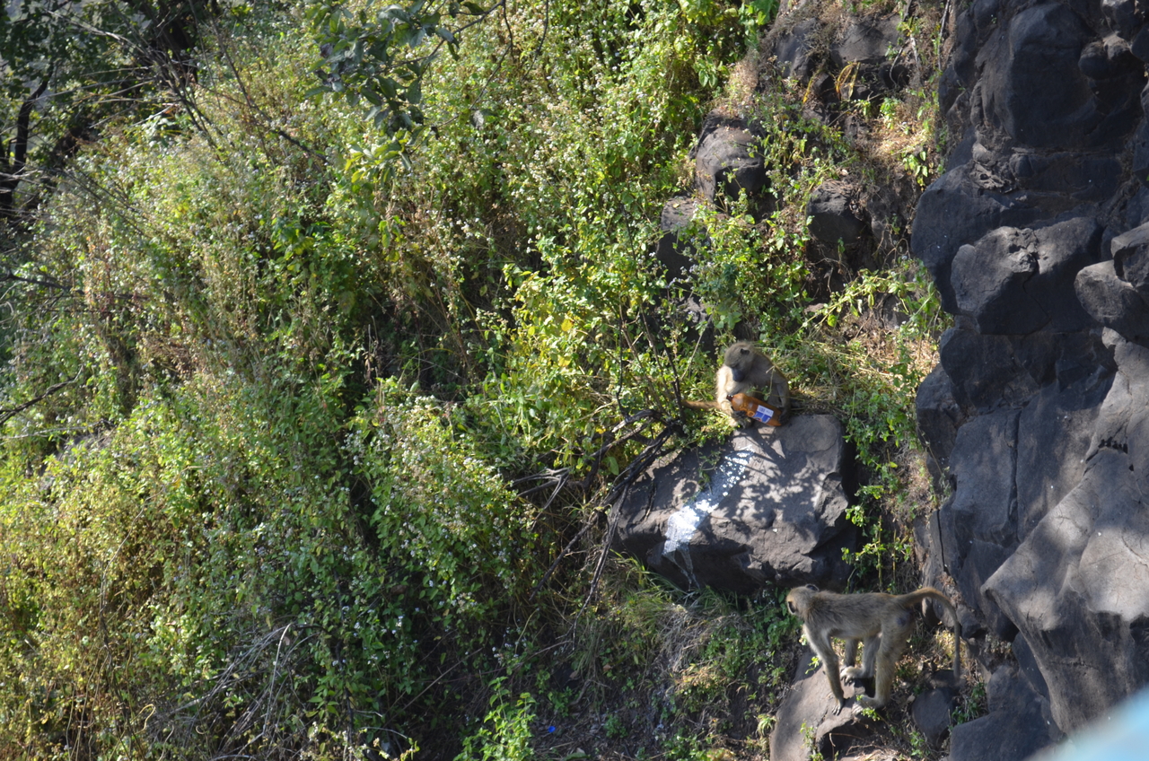 [28881] 2016_07_03_00_01_22_Africa_NIKON_D5100_IMG__05533.jpg