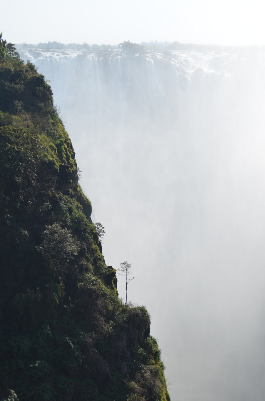 [28897] 2016_07_03_00_06_47_Africa_NIKON_D5100_IMG__05541.jpg