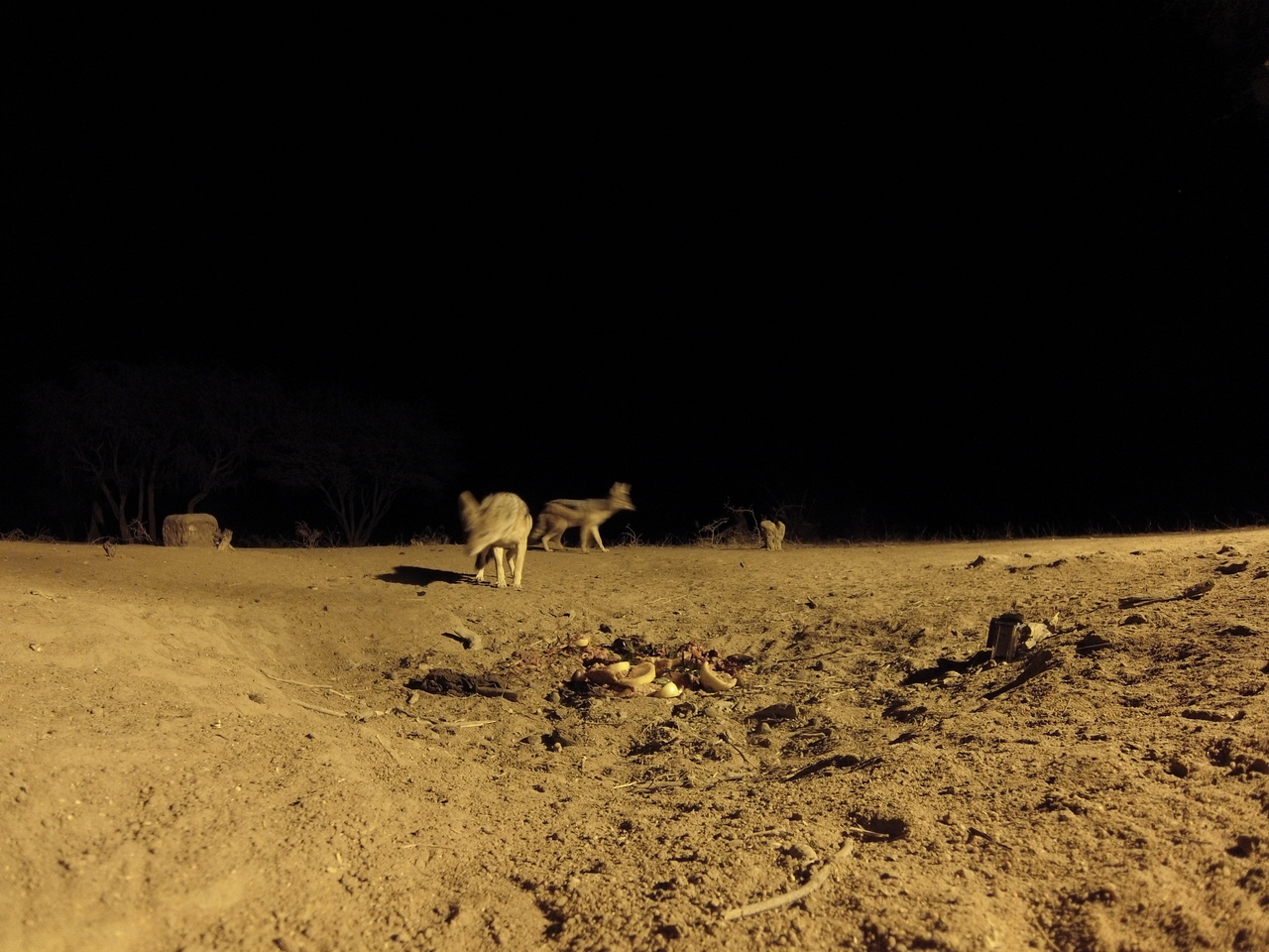 [3842] 2016_06_22_20_45_34_Africa_Hero3-Silver_Edition_IMG__00030.jpg