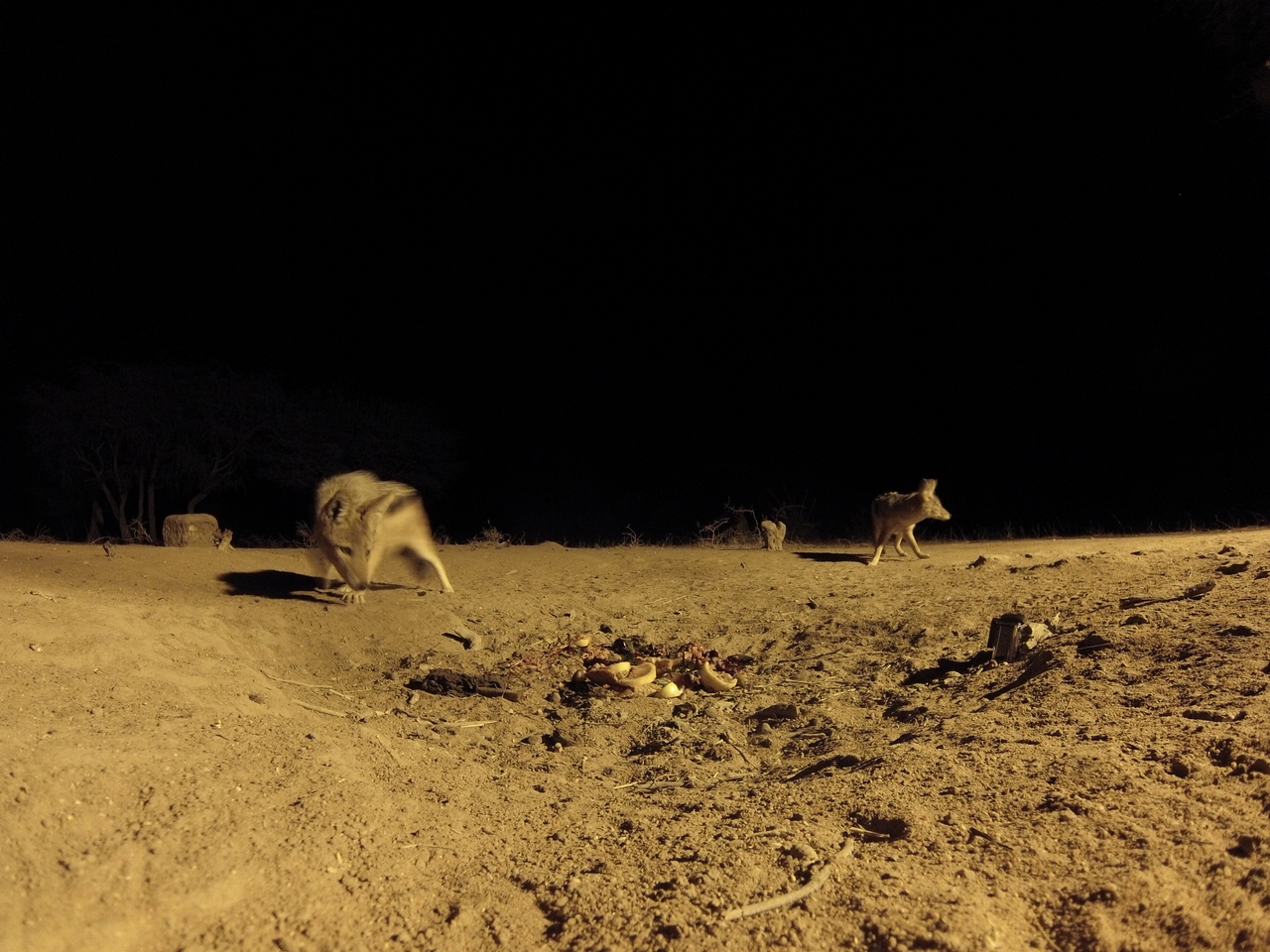 [3878] 2016_06_22_20_46_30_Africa_Hero3-Silver_Edition_IMG__00048.jpg