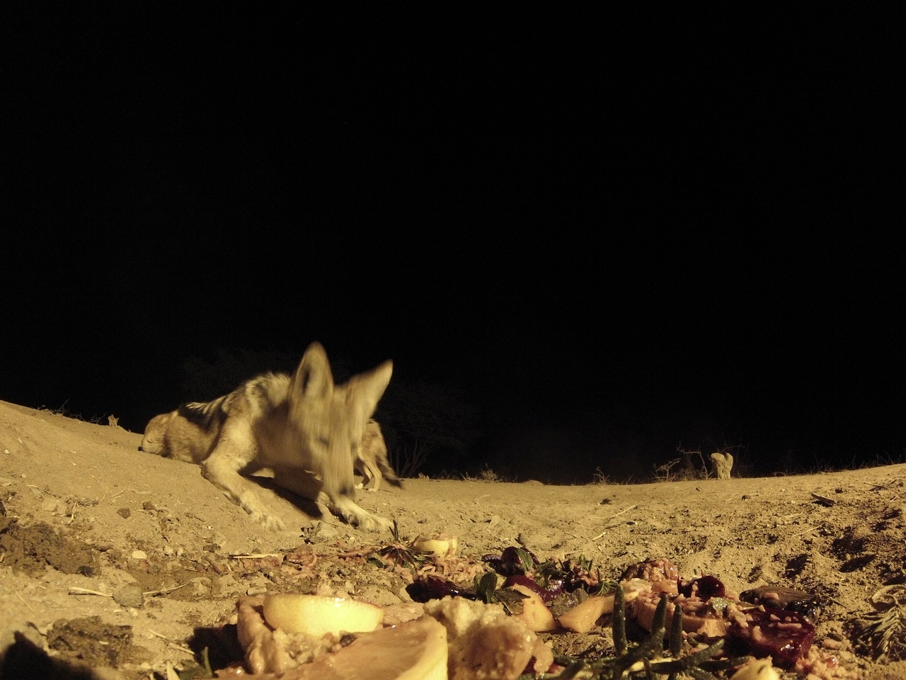 [4049] 2016_06_22_20_50_55_Africa_Hero3-Silver_Edition_IMG__00581.jpg