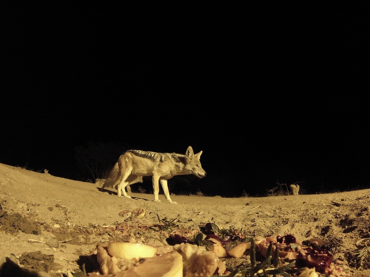 [4092] 2016_06_22_20_51_55_Africa_Hero3-Silver_Edition_IMG__00154.jpg