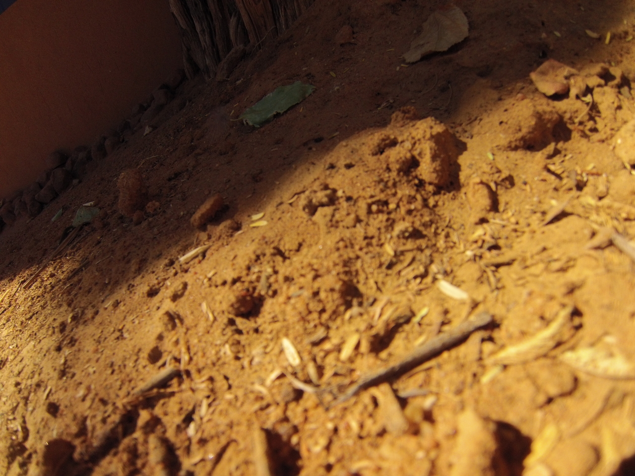 [8831] 2016_06_23_12_07_57_Africa_Hero3-Silver_Edition_IMG__00797.jpg