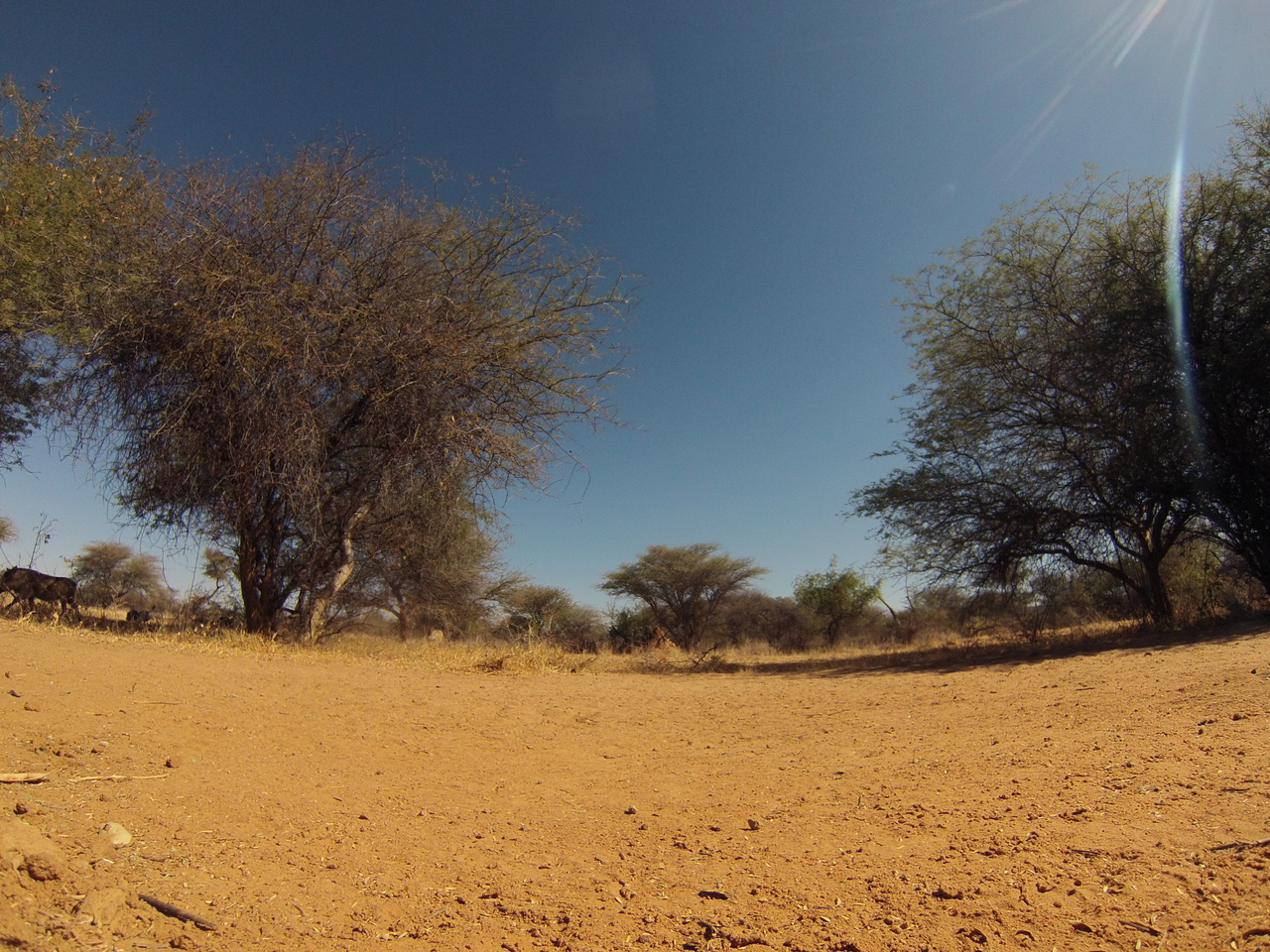 [8851] 2016_06_23_12_08_23_Africa_Hero3-Silver_Edition_IMG__00806.jpg