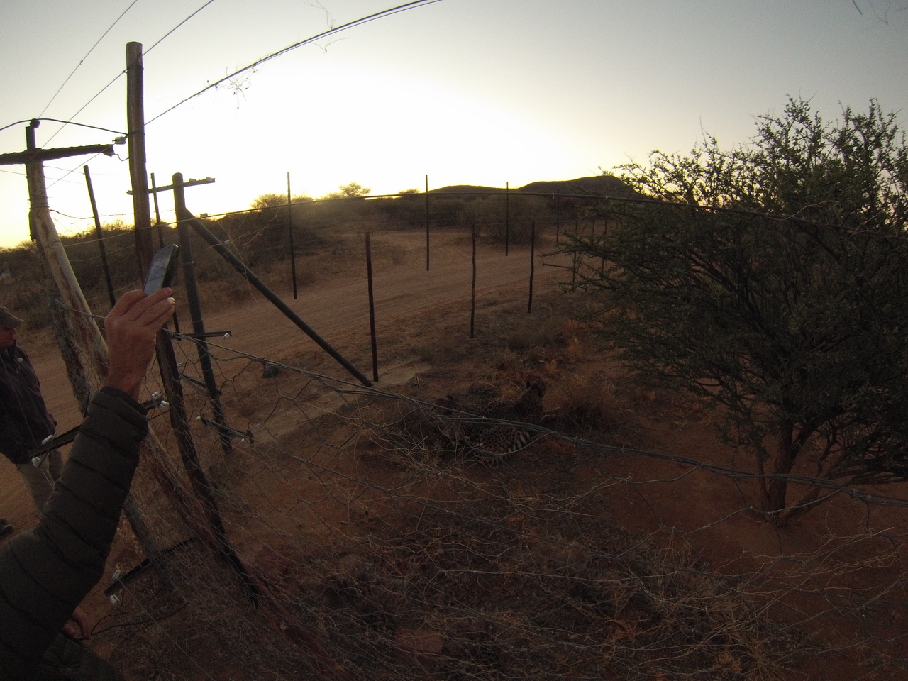 [9517] 2016_06_23_17_26_20_Africa_Hero3-Silver_Edition_IMG__00399.jpg