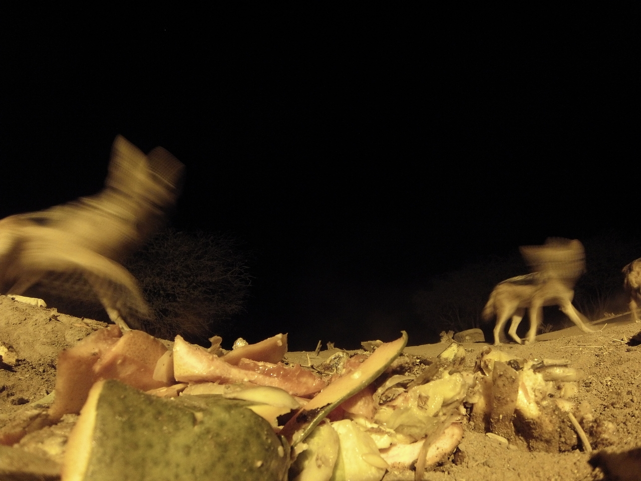 [9758] 2016_06_23_18_44_12_Africa_Hero3-Silver_Edition_IMG__00471.jpg