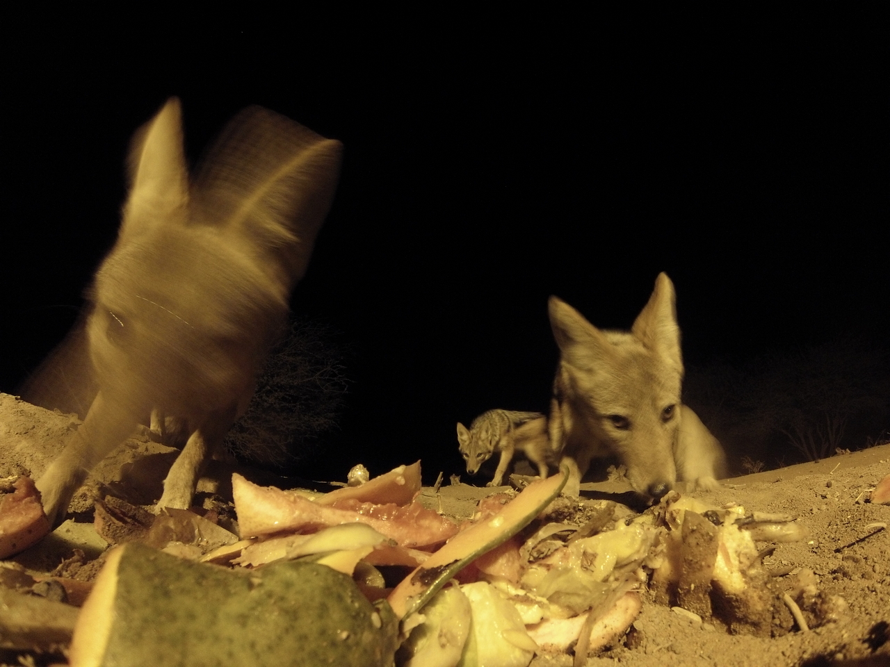 [9803] 2016_06_23_18_45_10_Africa_Hero3-Silver_Edition_IMG__00941.jpg