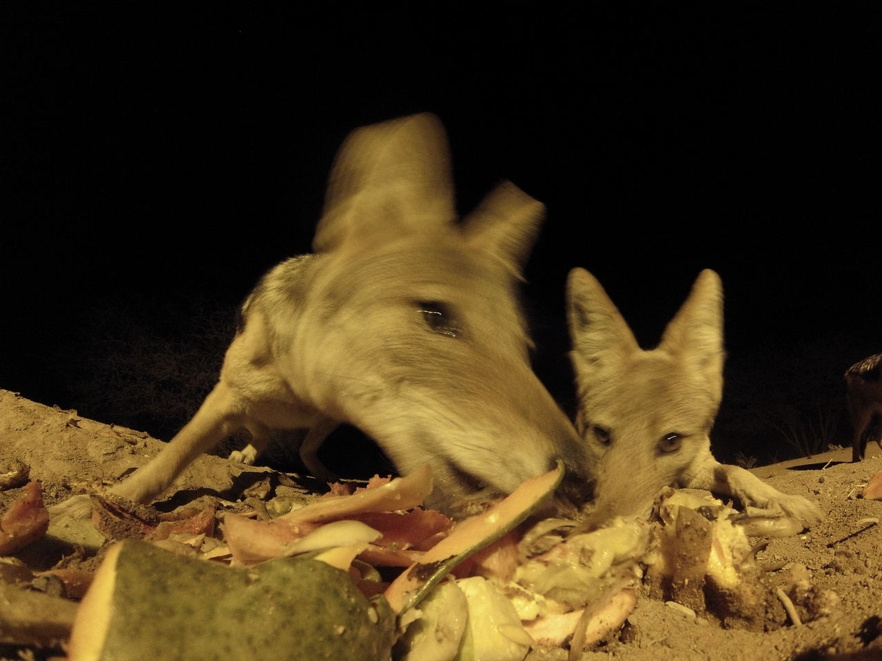 [9811] 2016_06_23_18_45_19_Africa_Hero3-Silver_Edition_IMG__00945.jpg