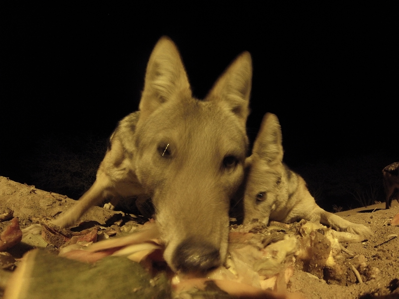 [9813] 2016_06_23_18_45_21_Africa_Hero3-Silver_Edition_IMG__00946.jpg