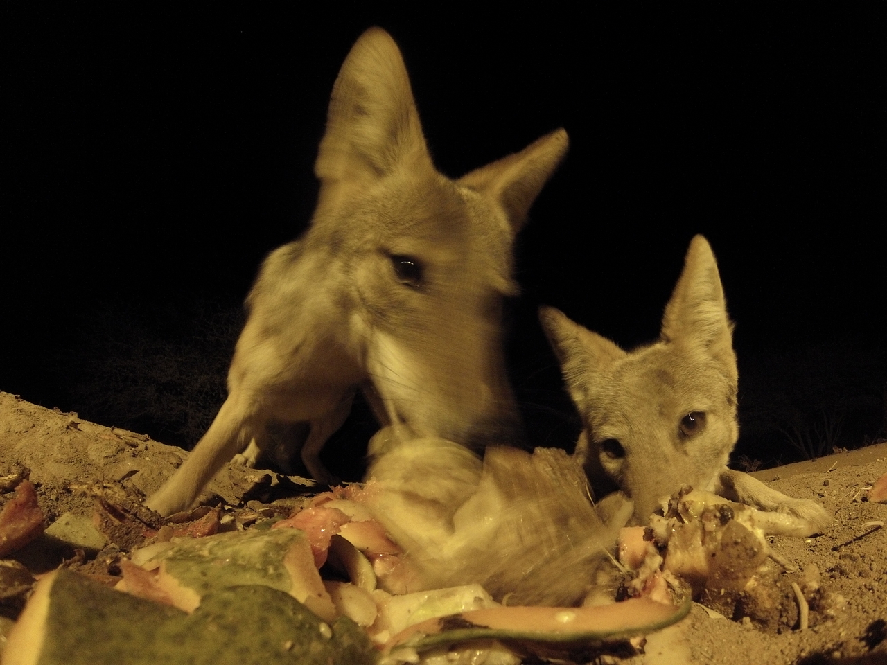 [9814] 2016_06_23_18_45_23_Africa_Hero3-Silver_Edition_IMG__00499.jpg