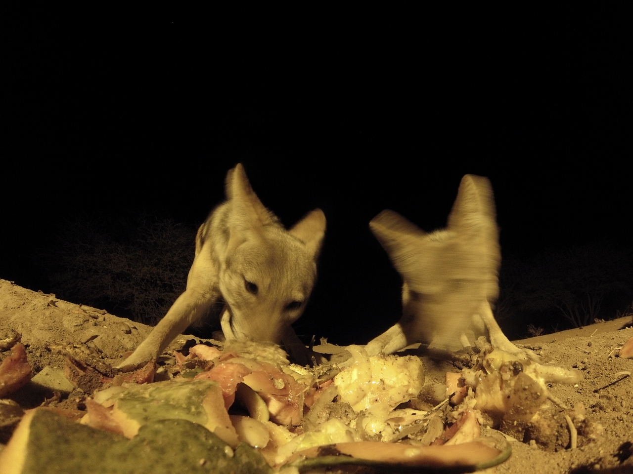 [9823] 2016_06_23_18_45_34_Africa_Hero3-Silver_Edition_IMG__00951.jpg