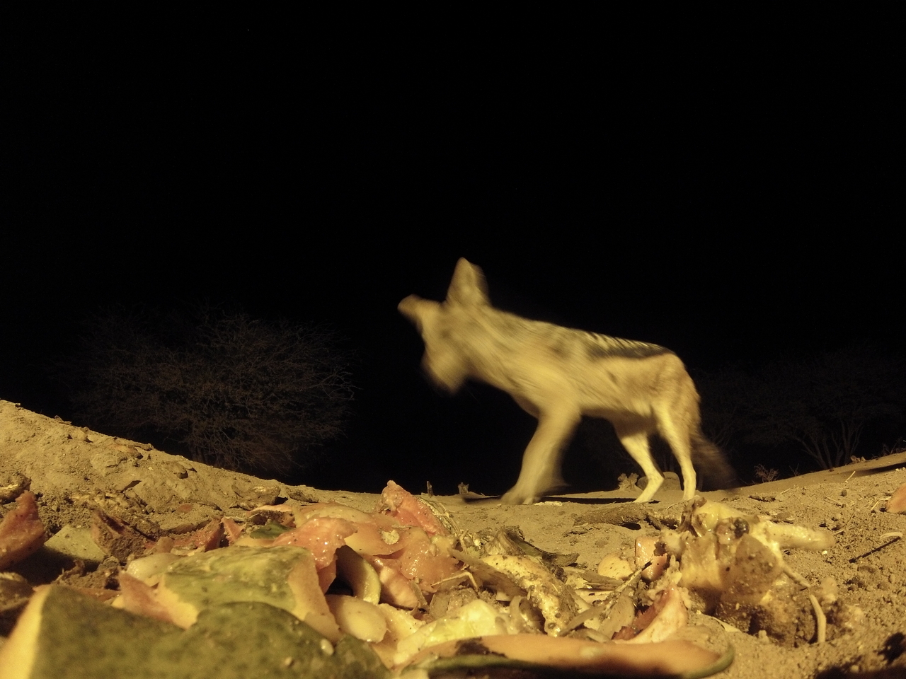 [9880] 2016_06_23_18_46_52_Africa_Hero3-Silver_Edition_IMG__00978.jpg