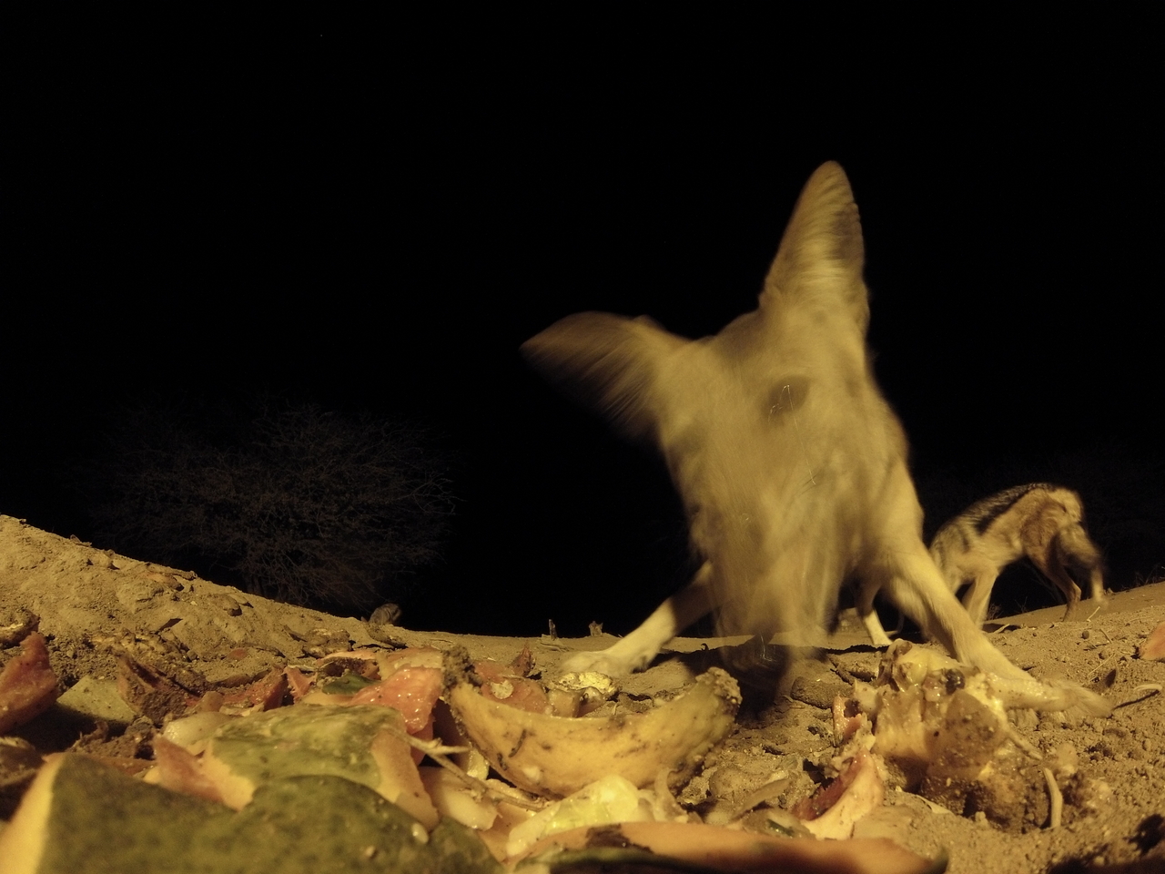 [9943] 2016_06_23_18_48_18_Africa_Hero3-Silver_Edition_IMG__01008.jpg