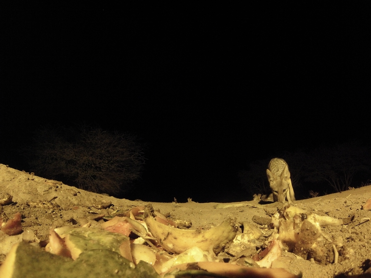 [10038] 2016_06_23_18_50_19_Africa_Hero3-Silver_Edition_IMG__01054.jpg