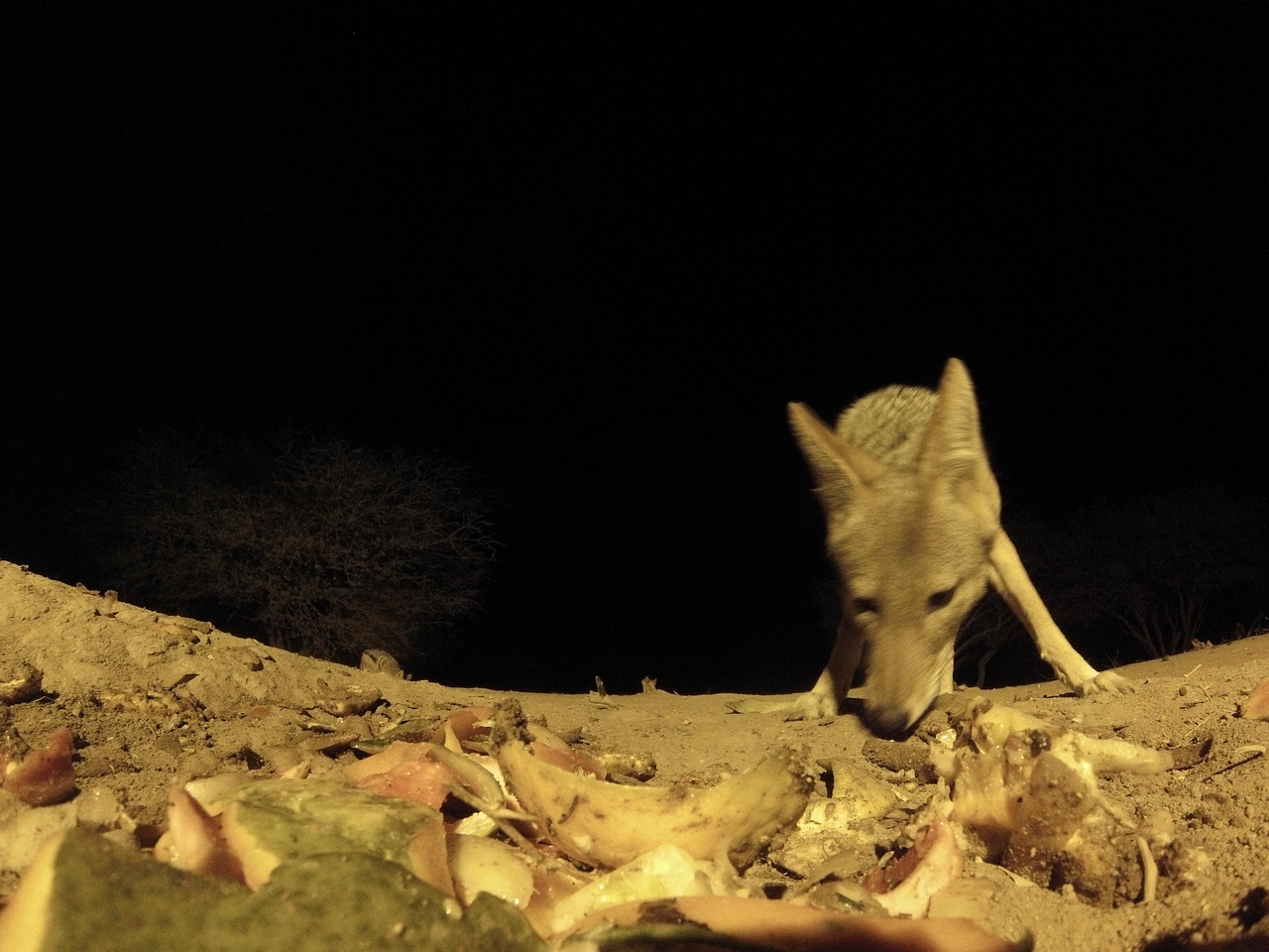 [10050] 2016_06_23_18_50_37_Africa_Hero3-Silver_Edition_IMG__01060.jpg