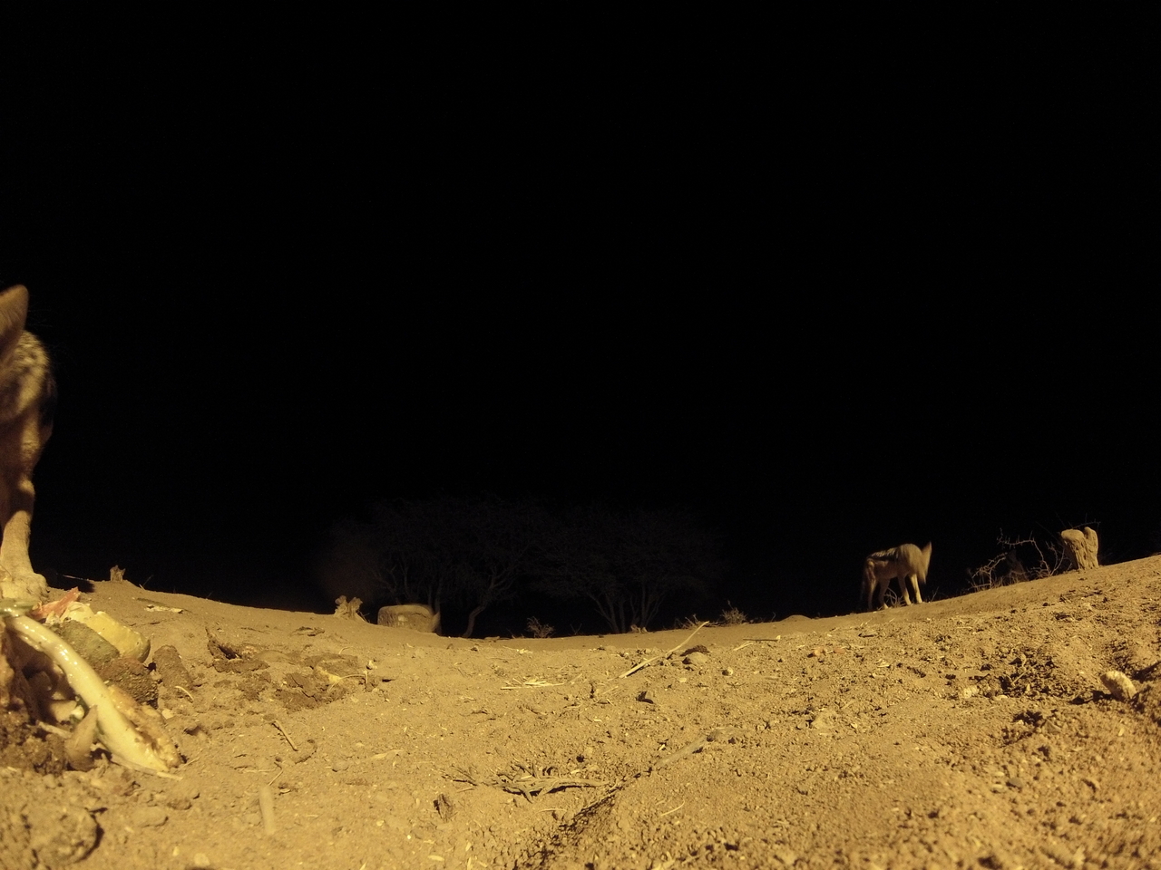 [10186] 2016_06_23_19_01_20_Africa_Hero3-Silver_Edition_IMG__00658.jpg