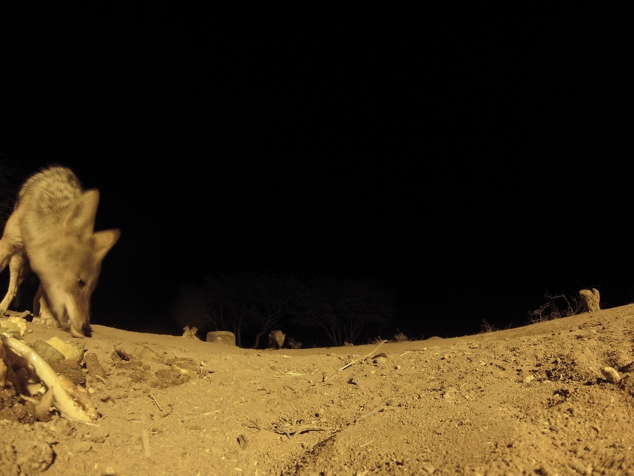 [10257] 2016_06_23_19_02_18_Africa_Hero3-Silver_Edition_IMG__01126.jpg