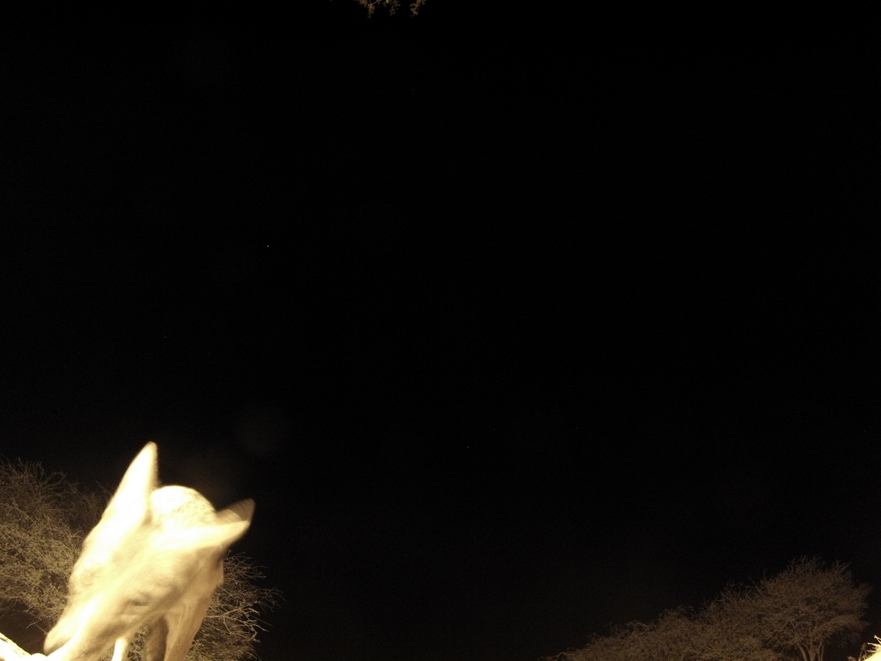 [10463] 2016_06_23_19_05_37_Africa_Hero3-Silver_Edition_IMG__01186.jpg