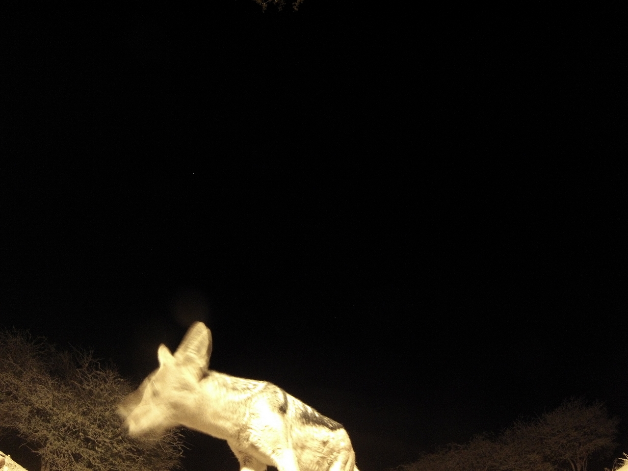 [10608] 2016_06_23_19_08_17_Africa_Hero3-Silver_Edition_IMG__00779.jpg