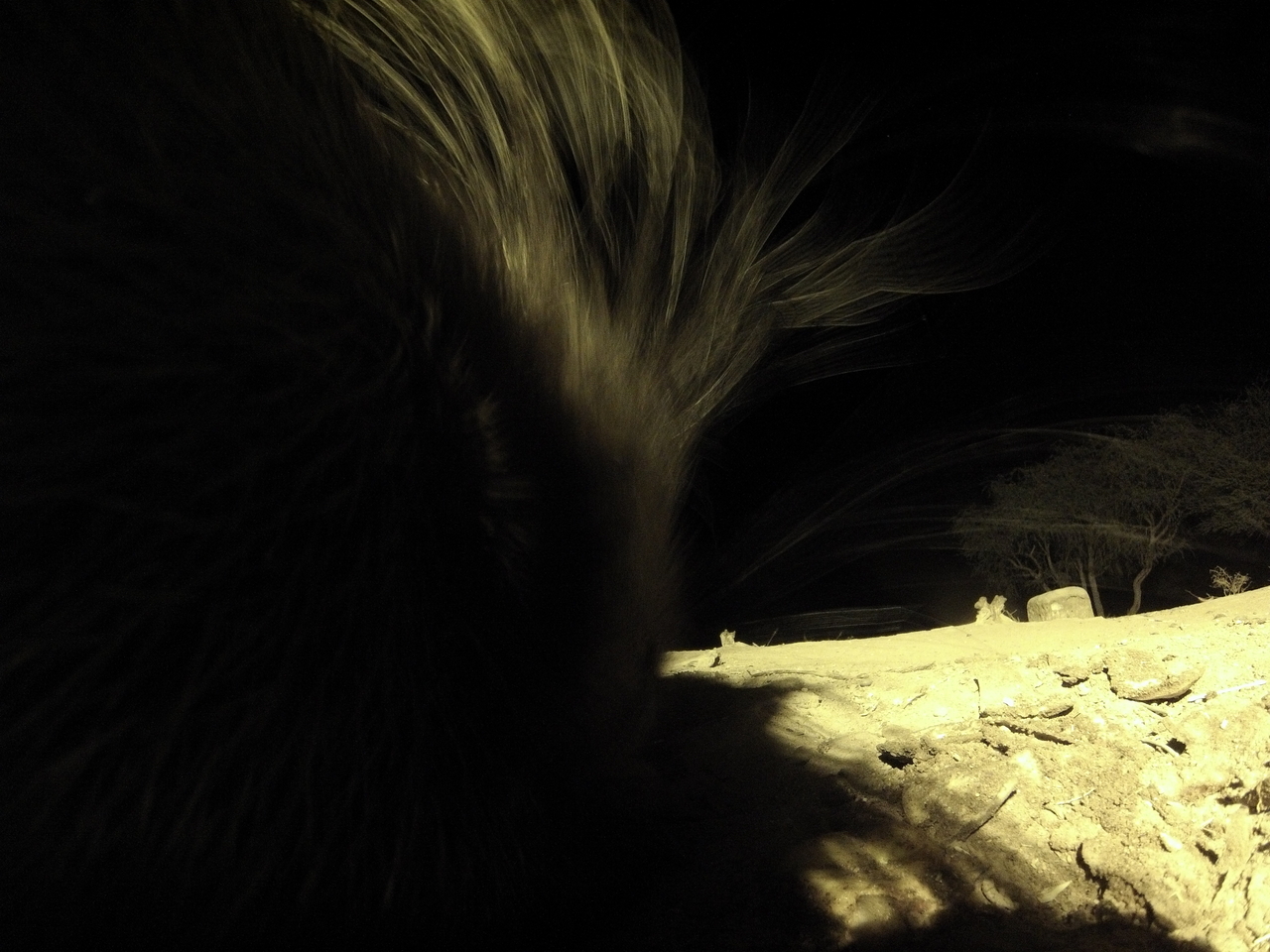 [11122] 2016_06_23_19_56_37_Africa_Hero3-Silver_Edition_IMG__01371.jpg