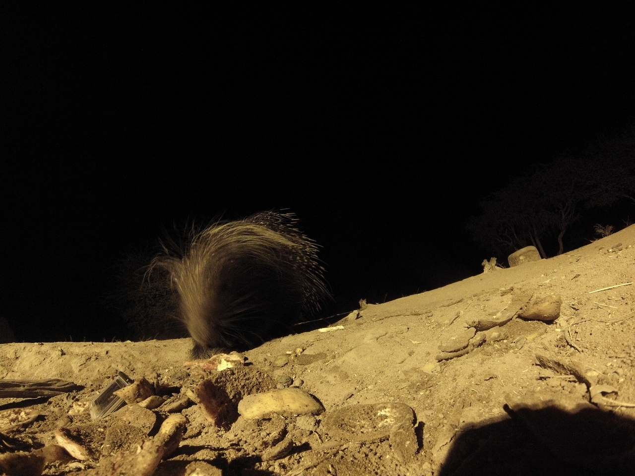 [11320] 2016_06_23_19_59_38_Africa_Hero3-Silver_Edition_IMG__00972.jpg