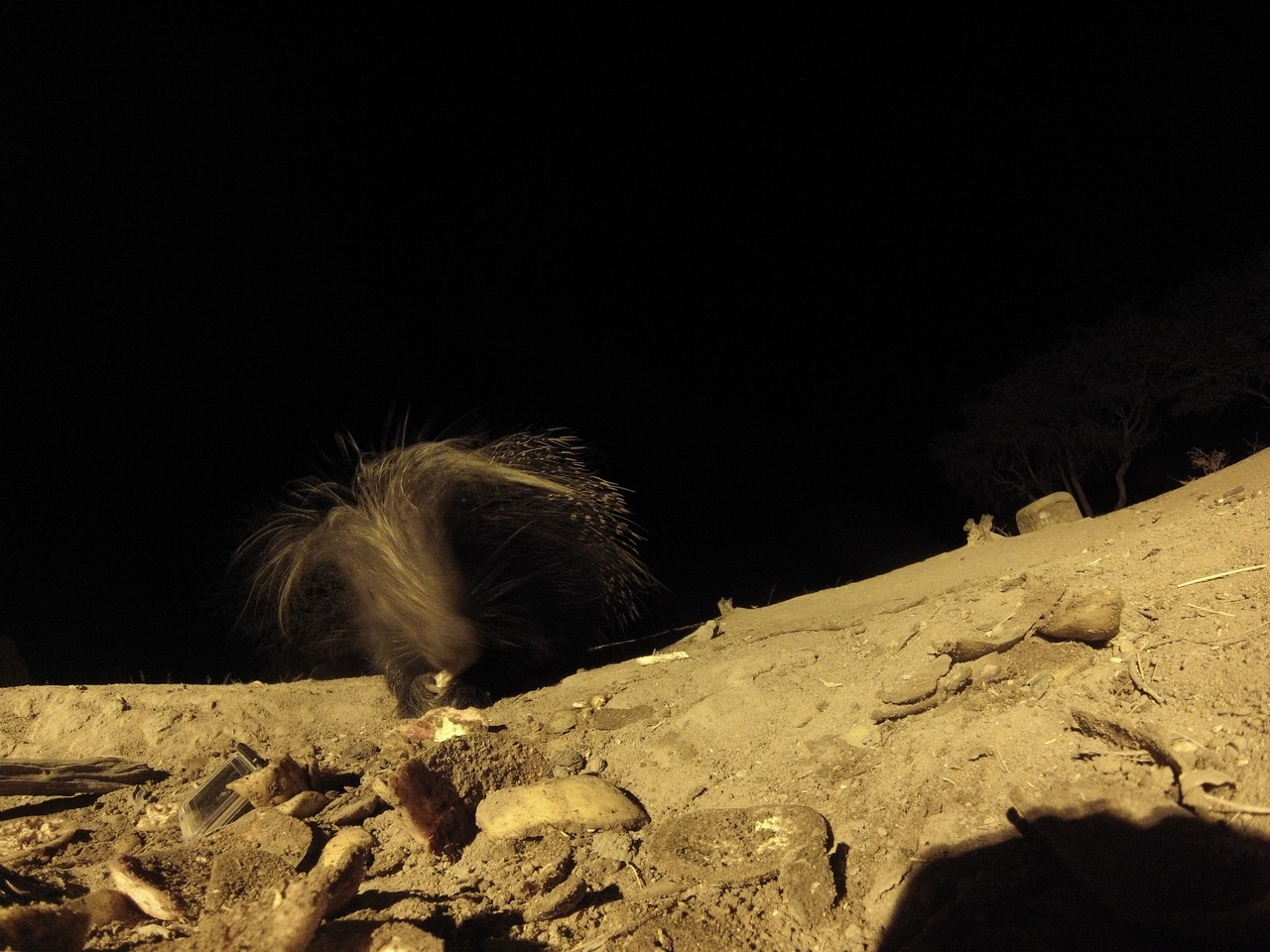 [11371] 2016_06_23_20_00_20_Africa_Hero3-Silver_Edition_IMG__00038.jpg