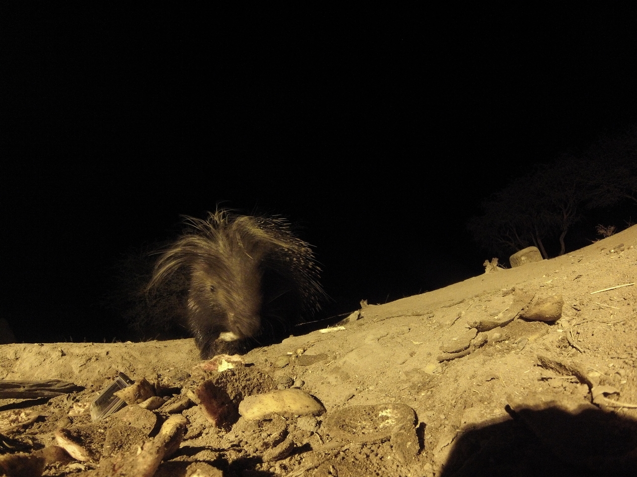 [11378] 2016_06_23_20_00_24_Africa_Hero3-Silver_Edition_IMG__01433.jpg