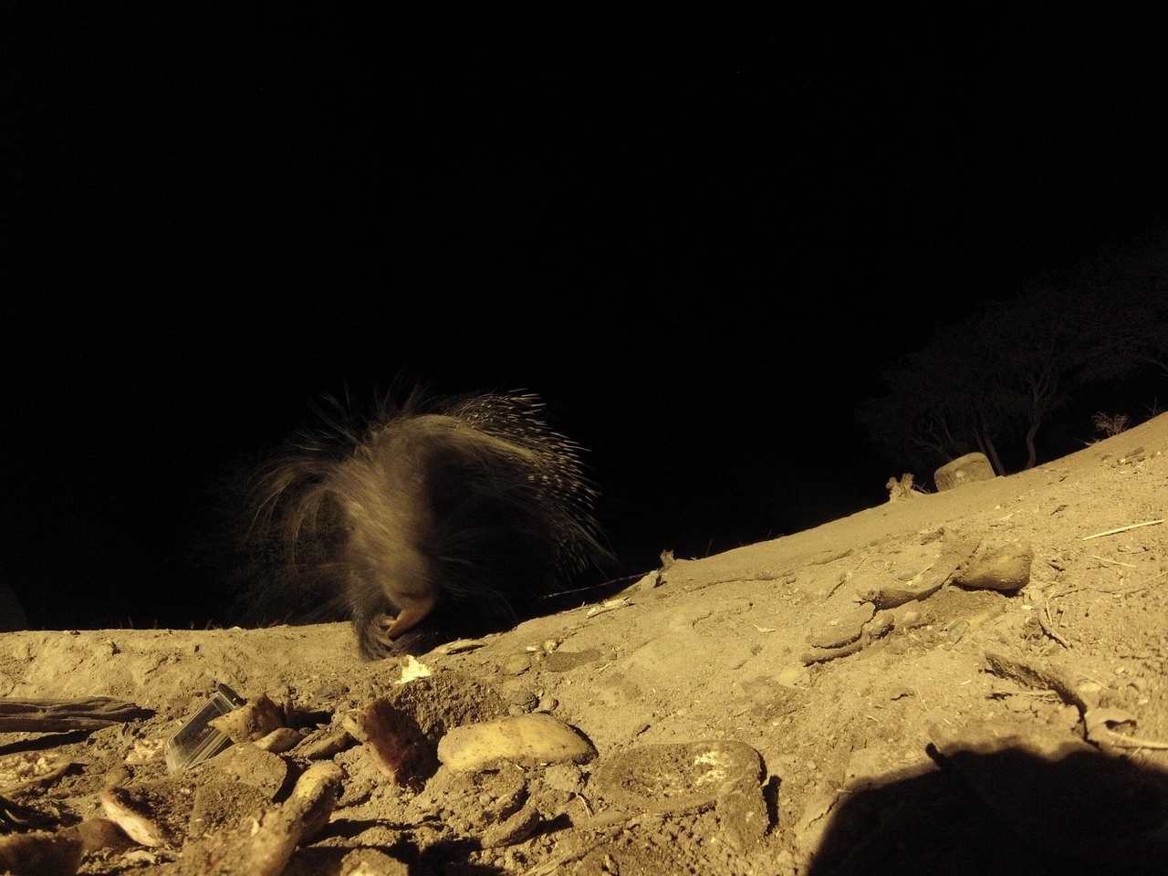 [11394] 2016_06_23_20_00_38_Africa_Hero3-Silver_Edition_IMG__00043.jpg