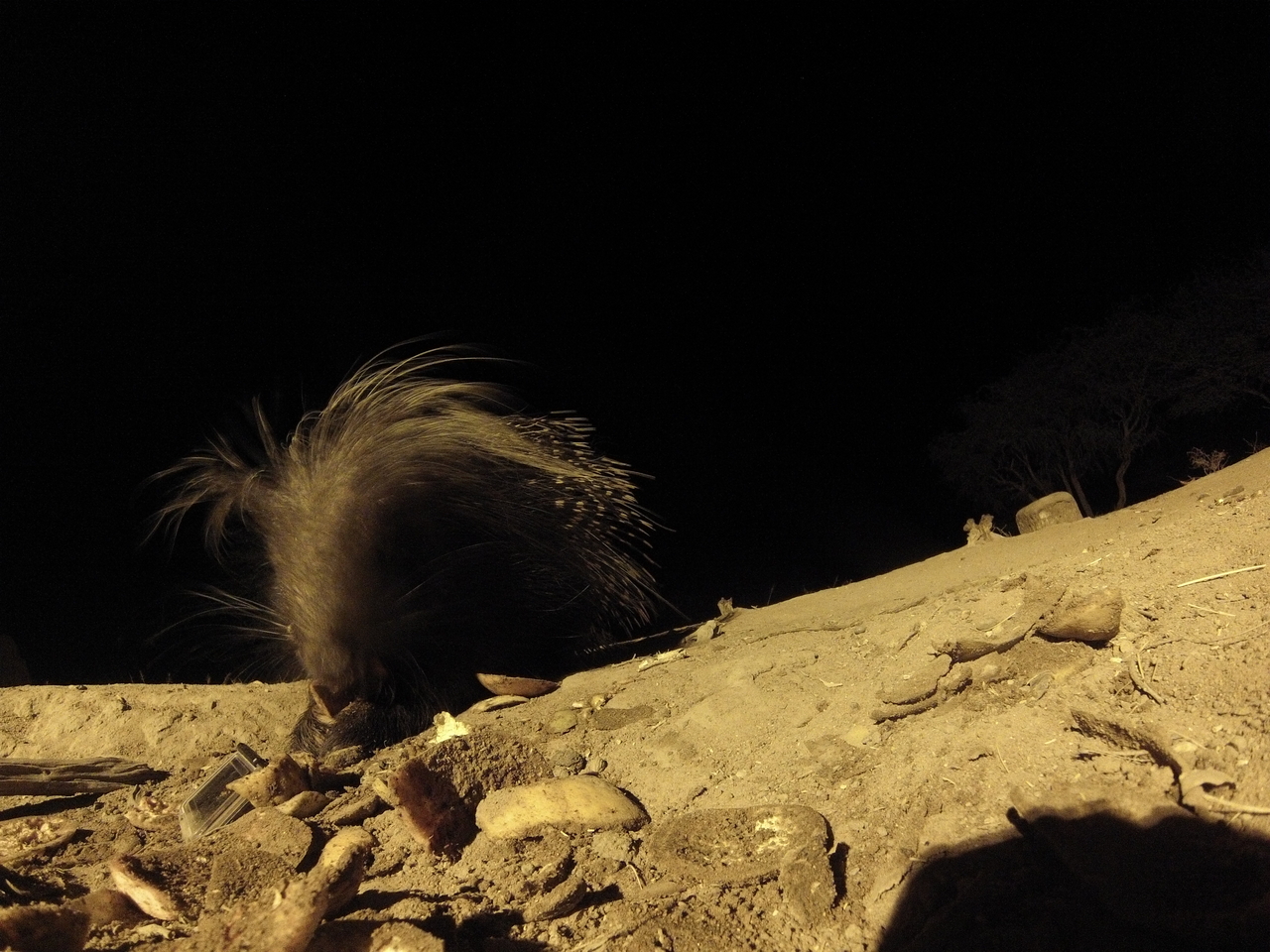 [11434] 2016_06_23_20_01_08_Africa_Hero3-Silver_Edition_IMG__00998.jpg