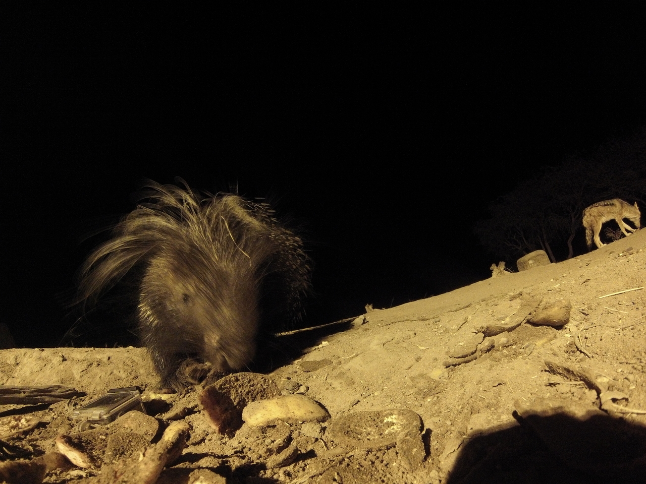 [11561] 2016_06_23_20_02_48_Africa_Hero3-Silver_Edition_IMG__01027.jpg