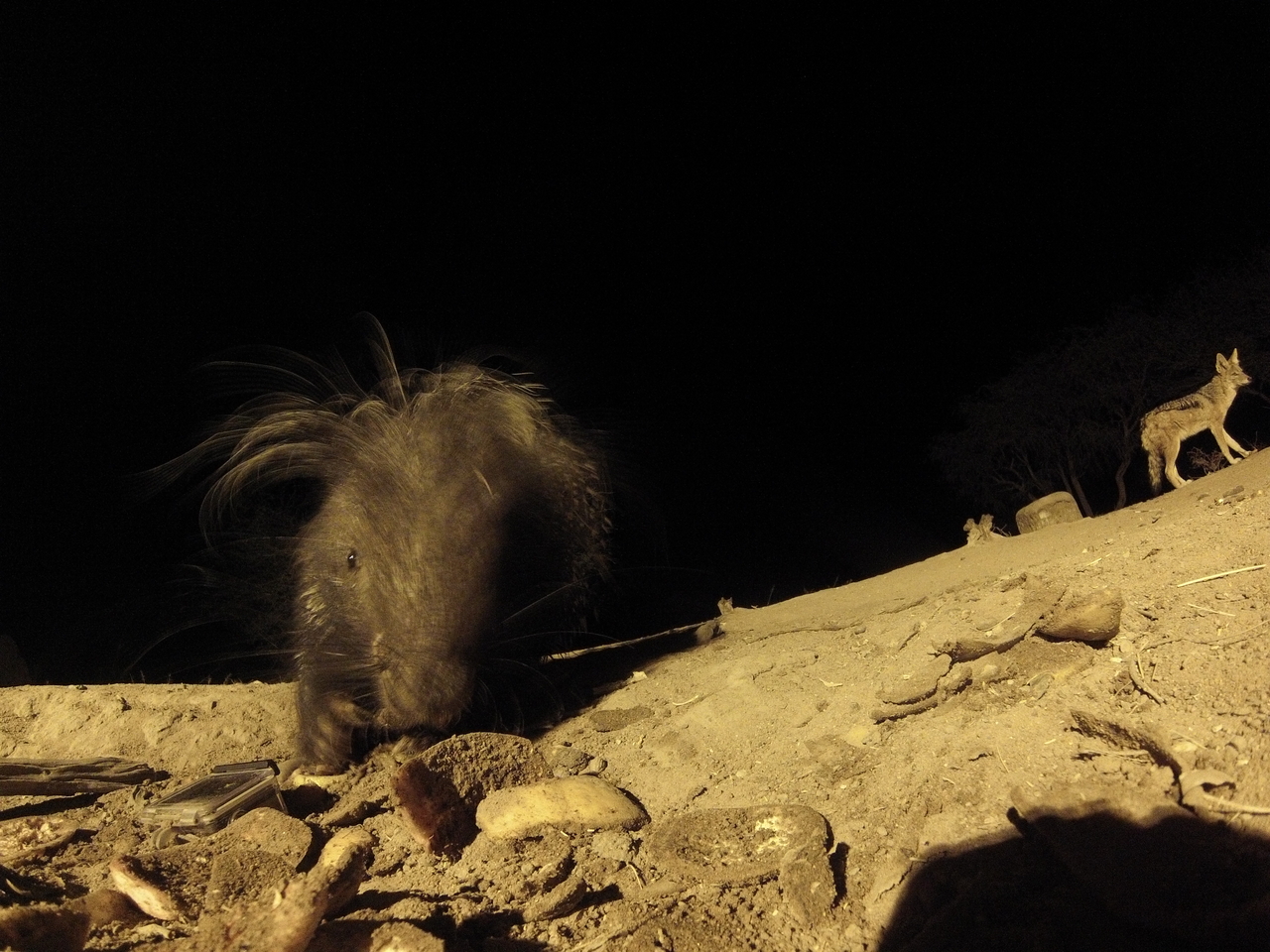 [11565] 2016_06_23_20_02_52_Africa_Hero3-Silver_Edition_IMG__00082.jpg