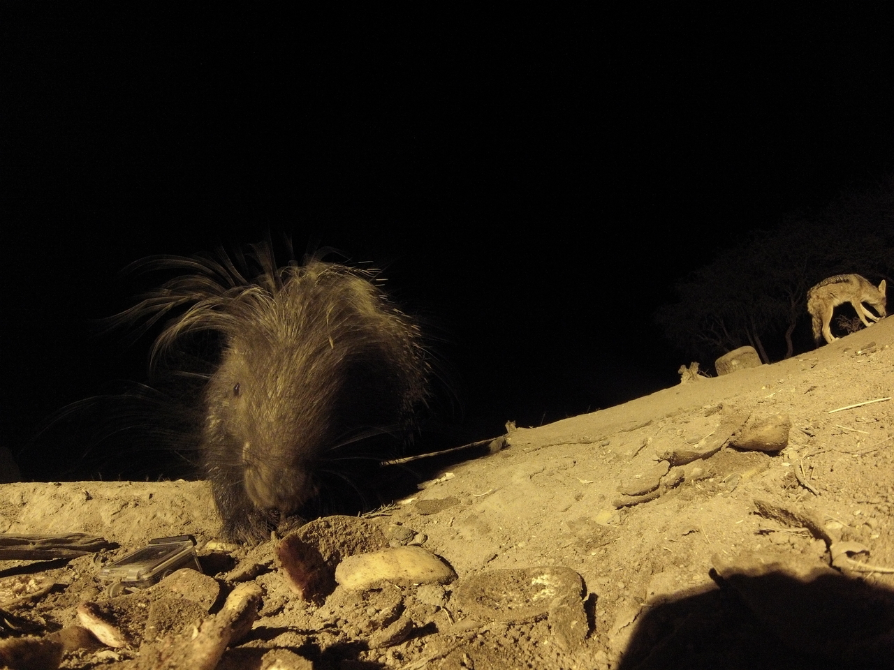 [11569] 2016_06_23_20_02_54_Africa_Hero3-Silver_Edition_IMG__01029.jpg