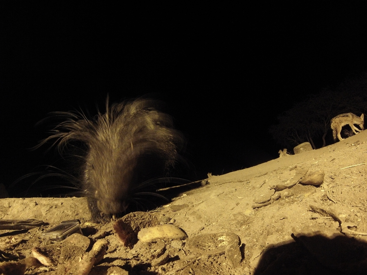 [11575] 2016_06_23_20_02_58_Africa_Hero3-Silver_Edition_IMG__01478.jpg