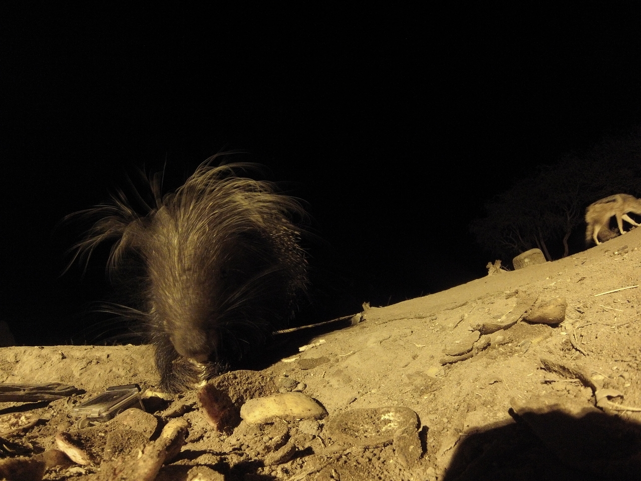 [11583] 2016_06_23_20_03_04_Africa_Hero3-Silver_Edition_IMG__01480.jpg