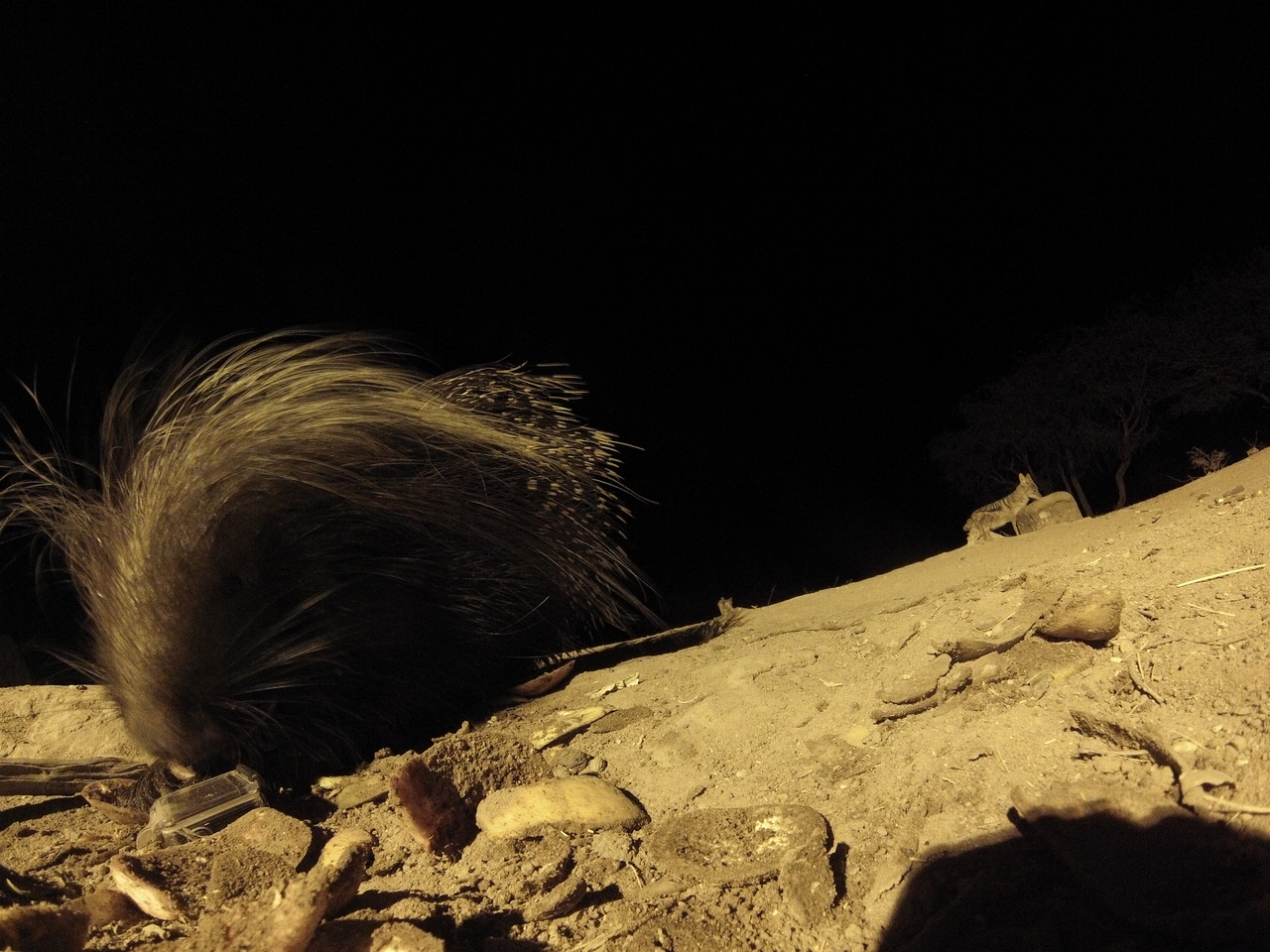 [11667] 2016_06_23_20_04_16_Africa_Hero3-Silver_Edition_IMG__01051.jpg