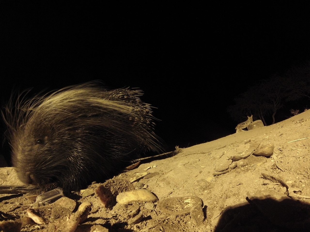 [11676] 2016_06_23_20_04_24_Africa_Hero3-Silver_Edition_IMG__00107.jpg