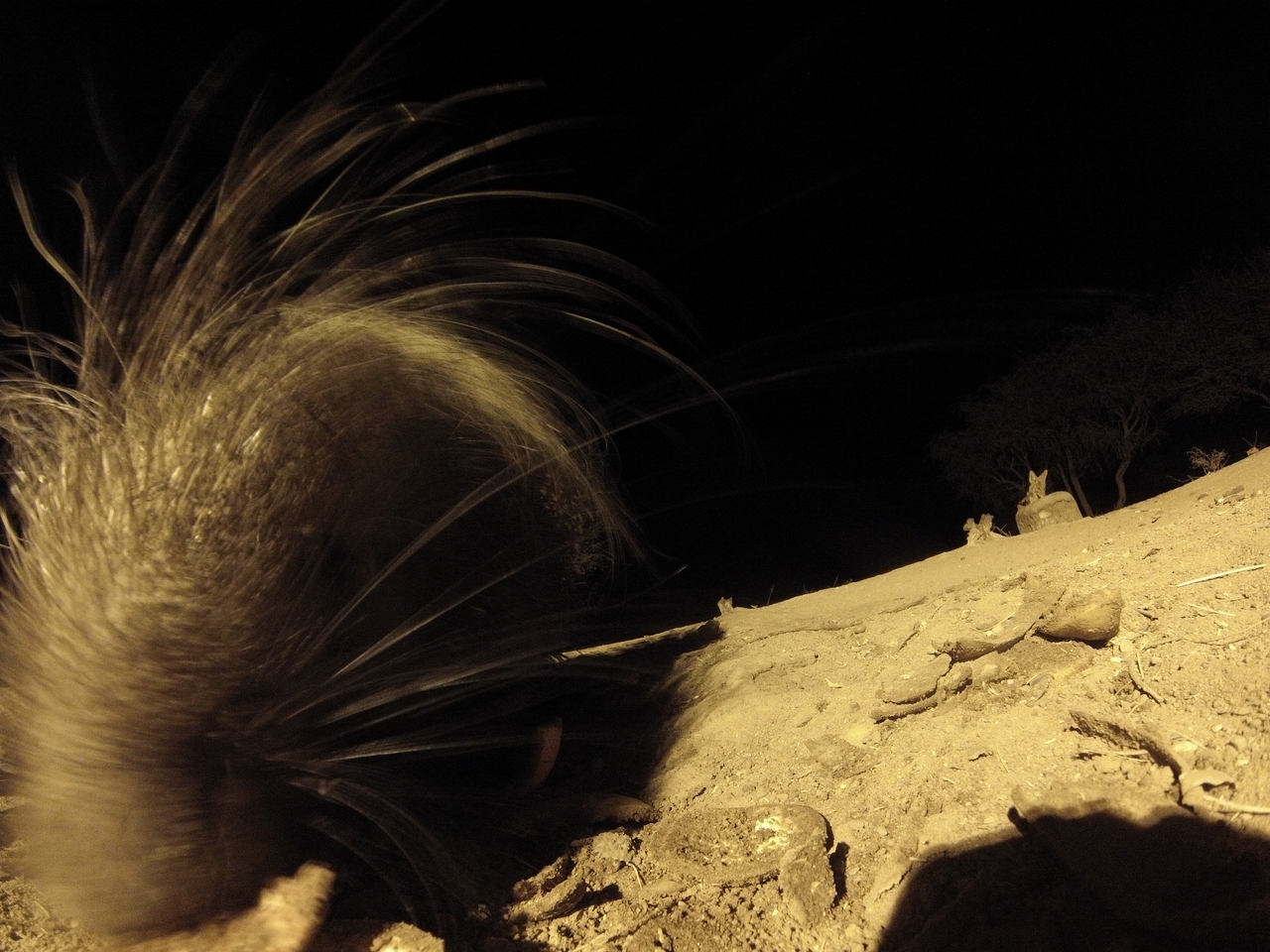 [11863] 2016_06_23_20_06_57_Africa_Hero3-Silver_Edition_IMG__01542.jpg