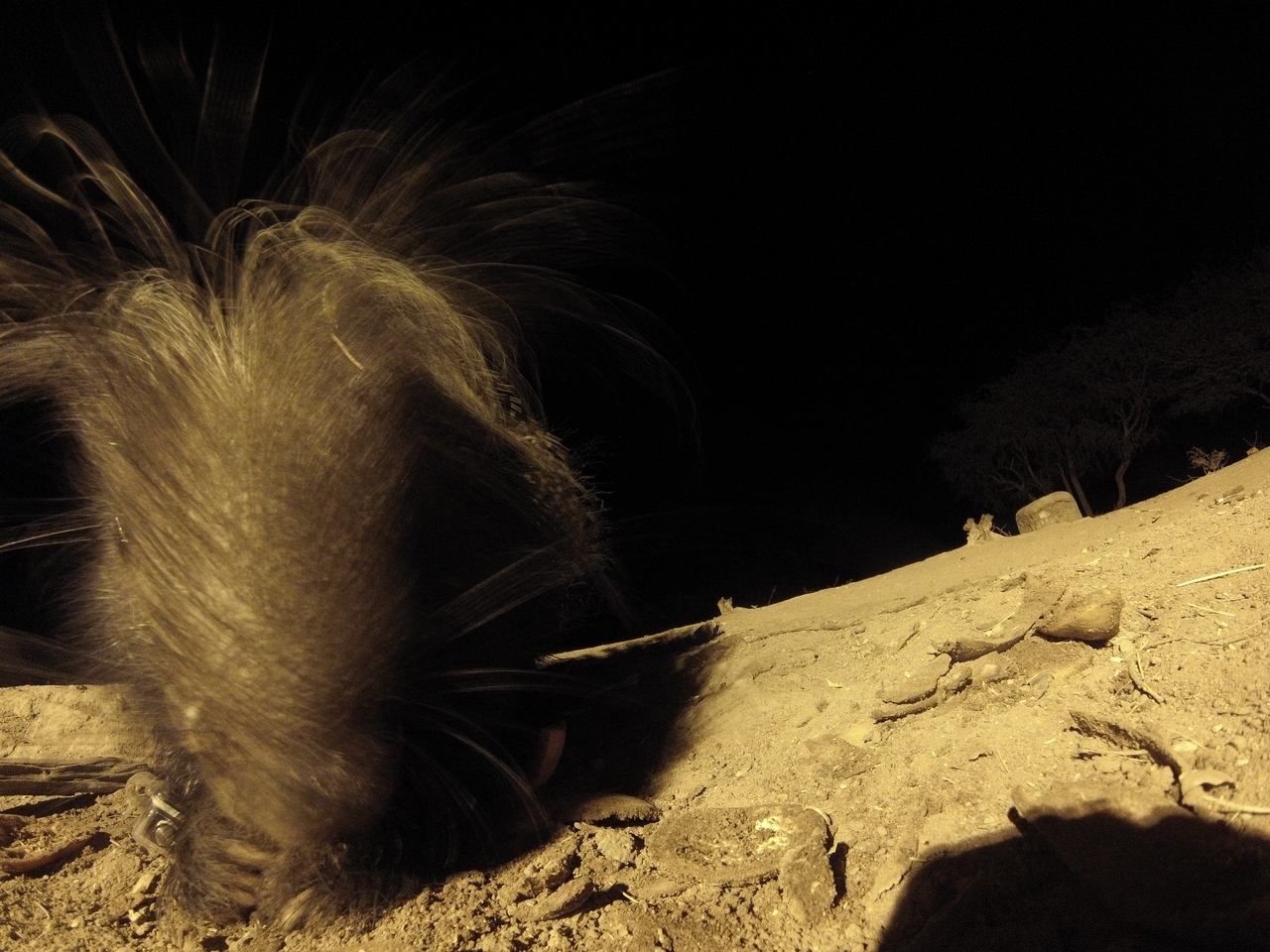 [11909] 2016_06_23_20_07_37_Africa_Hero3-Silver_Edition_IMG__01552.jpg