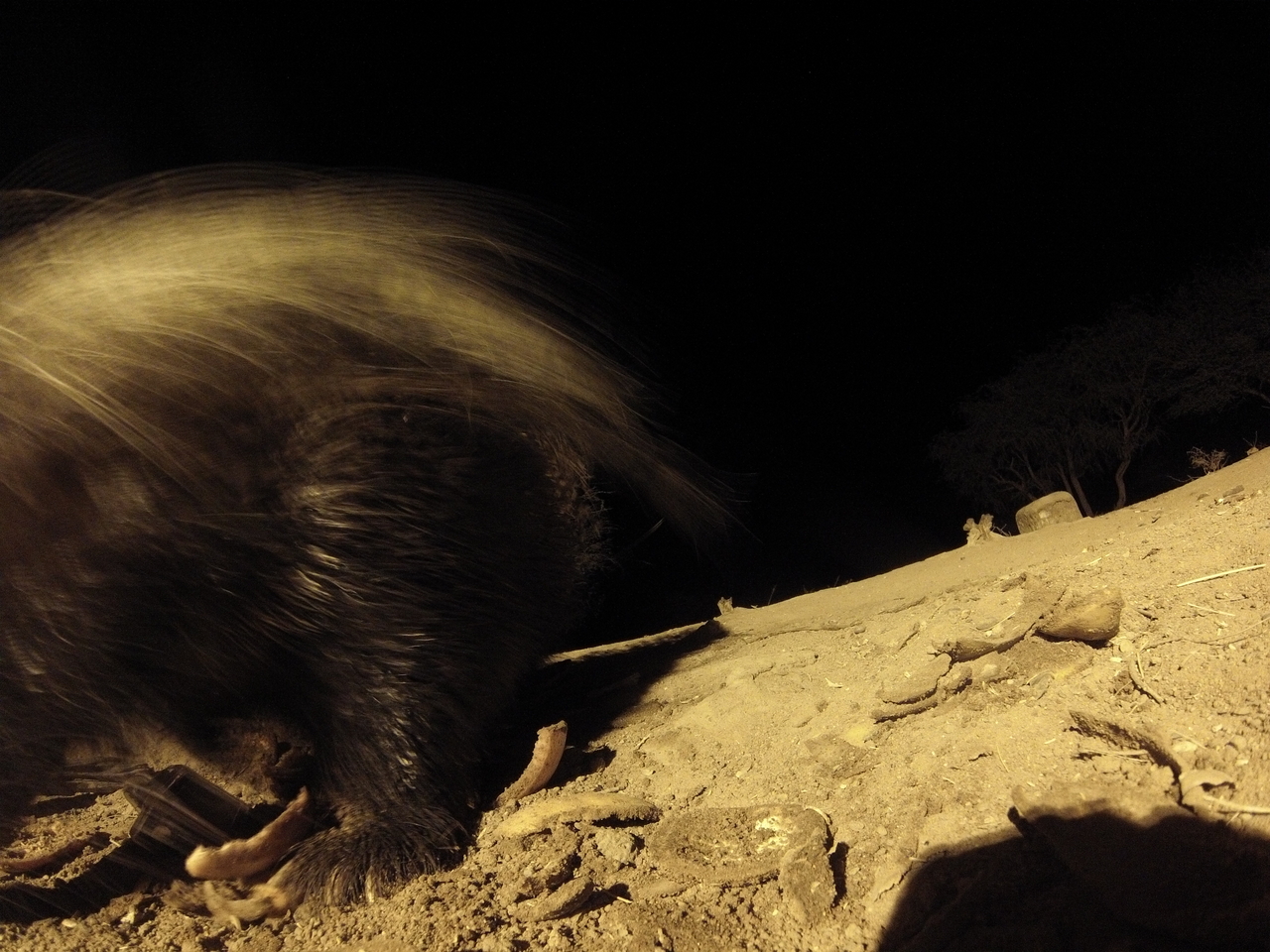 [11915] 2016_06_23_20_07_45_Africa_Hero3-Silver_Edition_IMG__00160.jpg