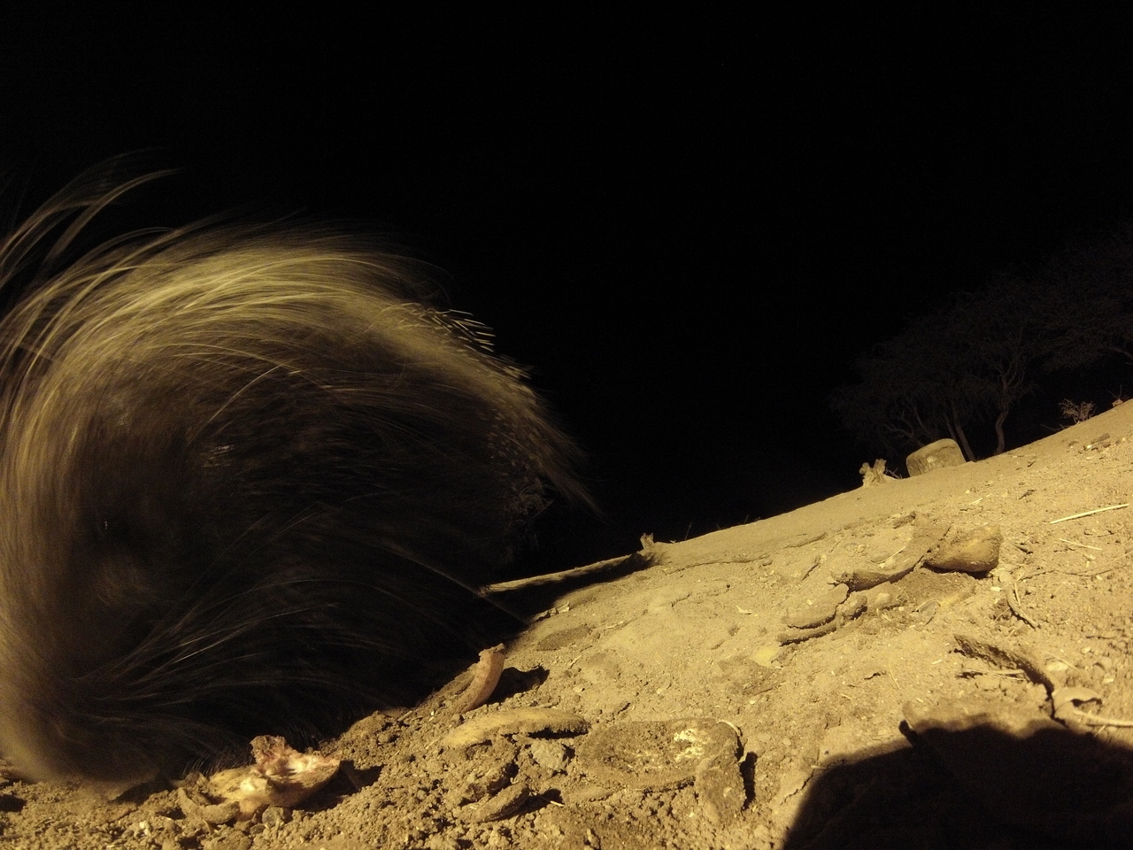 [11922] 2016_06_23_20_07_49_Africa_Hero3-Silver_Edition_IMG__01555.jpg