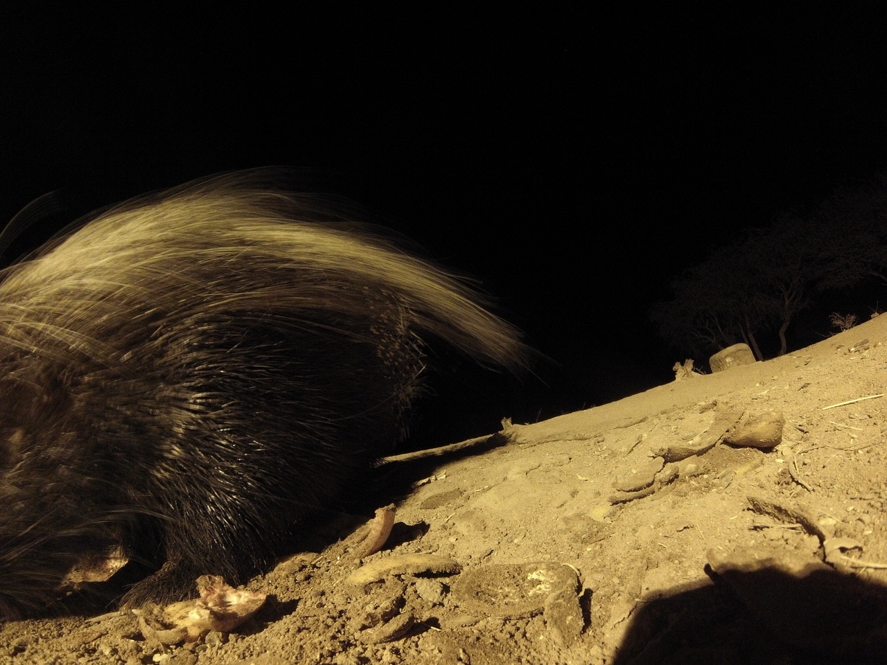 [11925] 2016_06_23_20_07_52_Africa_Hero3-Silver_Edition_IMG__00162.jpg