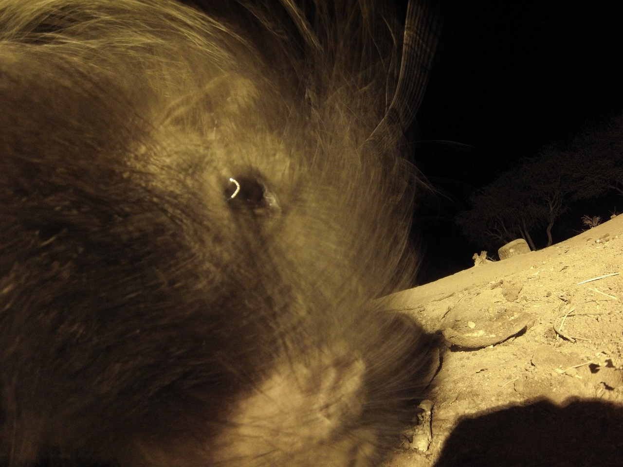 [12118] 2016_06_23_20_10_33_Africa_Hero3-Silver_Edition_IMG__00202.jpg