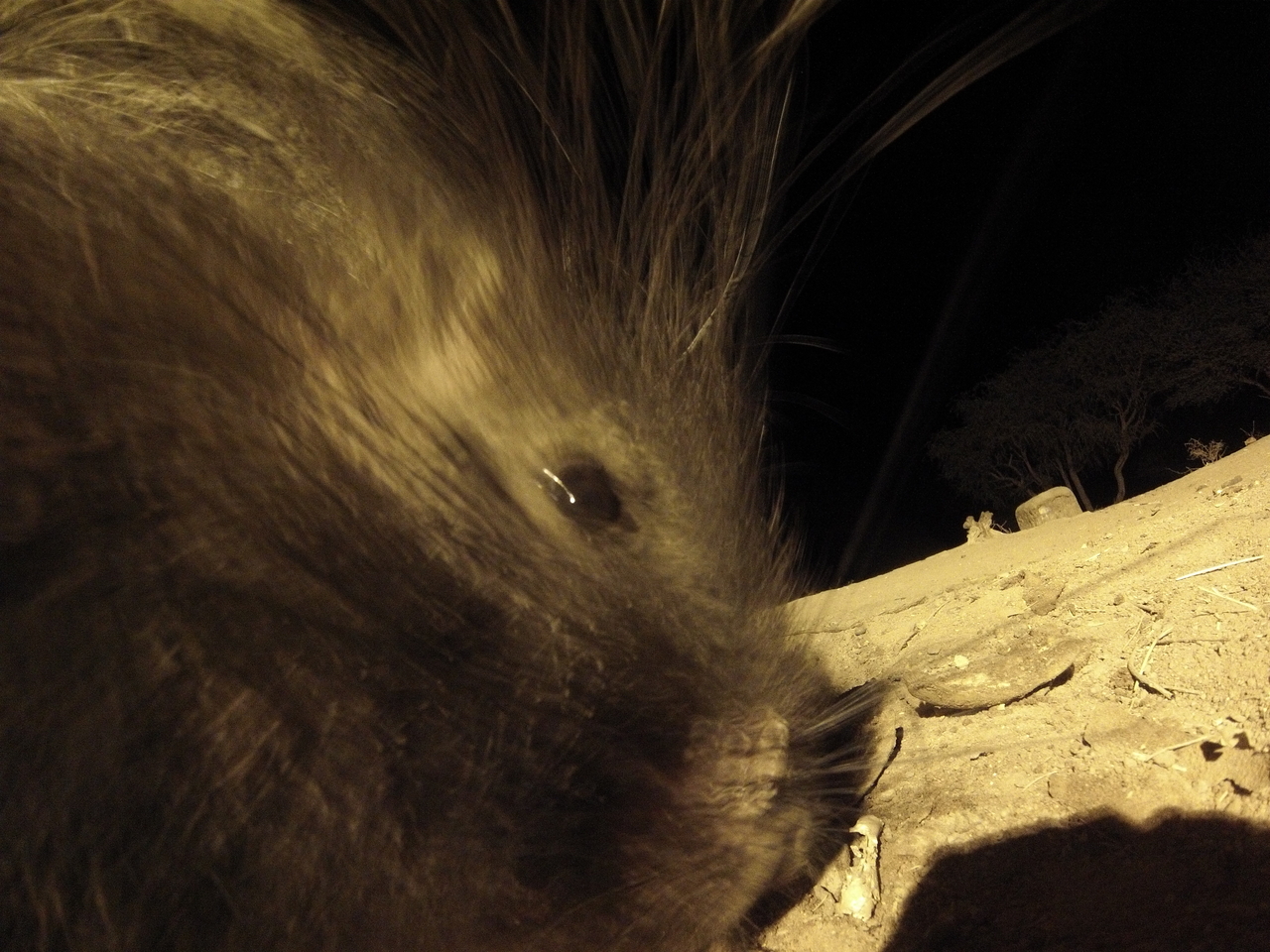 [12125] 2016_06_23_20_10_37_Africa_Hero3-Silver_Edition_IMG__01597.jpg