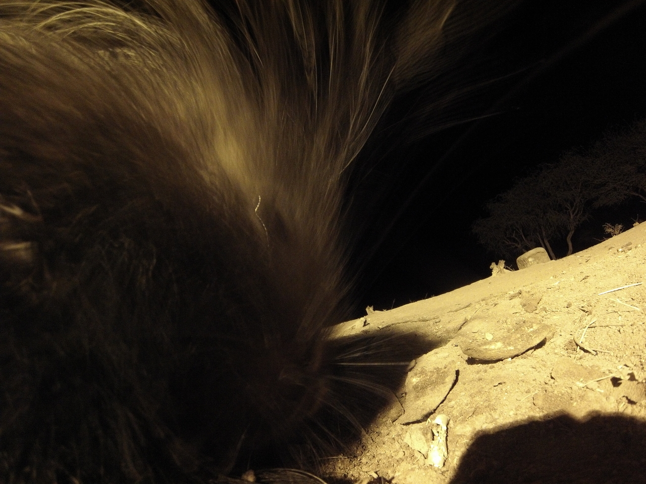 [12128] 2016_06_23_20_10_41_Africa_Hero3-Silver_Edition_IMG__01598.jpg