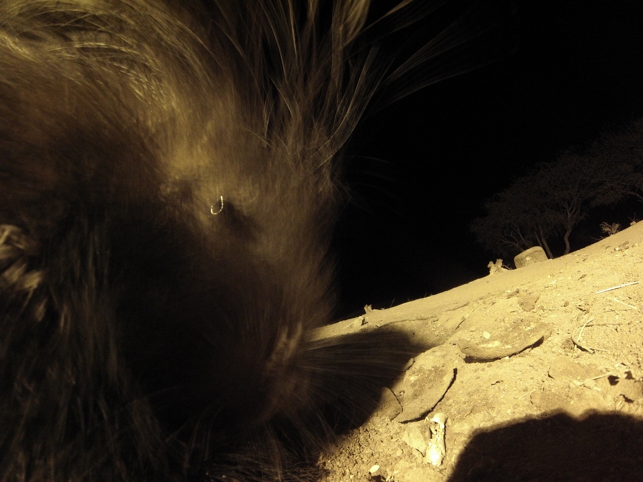 [12133] 2016_06_23_20_10_45_Africa_Hero3-Silver_Edition_IMG__01599.jpg