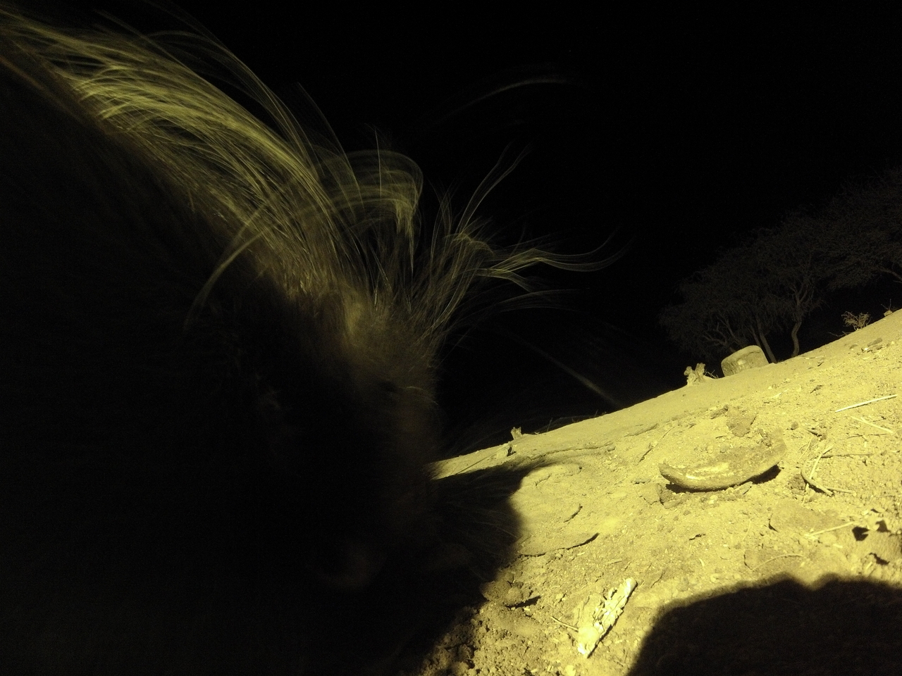 [12170] 2016_06_23_20_11_17_Africa_Hero3-Silver_Edition_IMG__01159.jpg