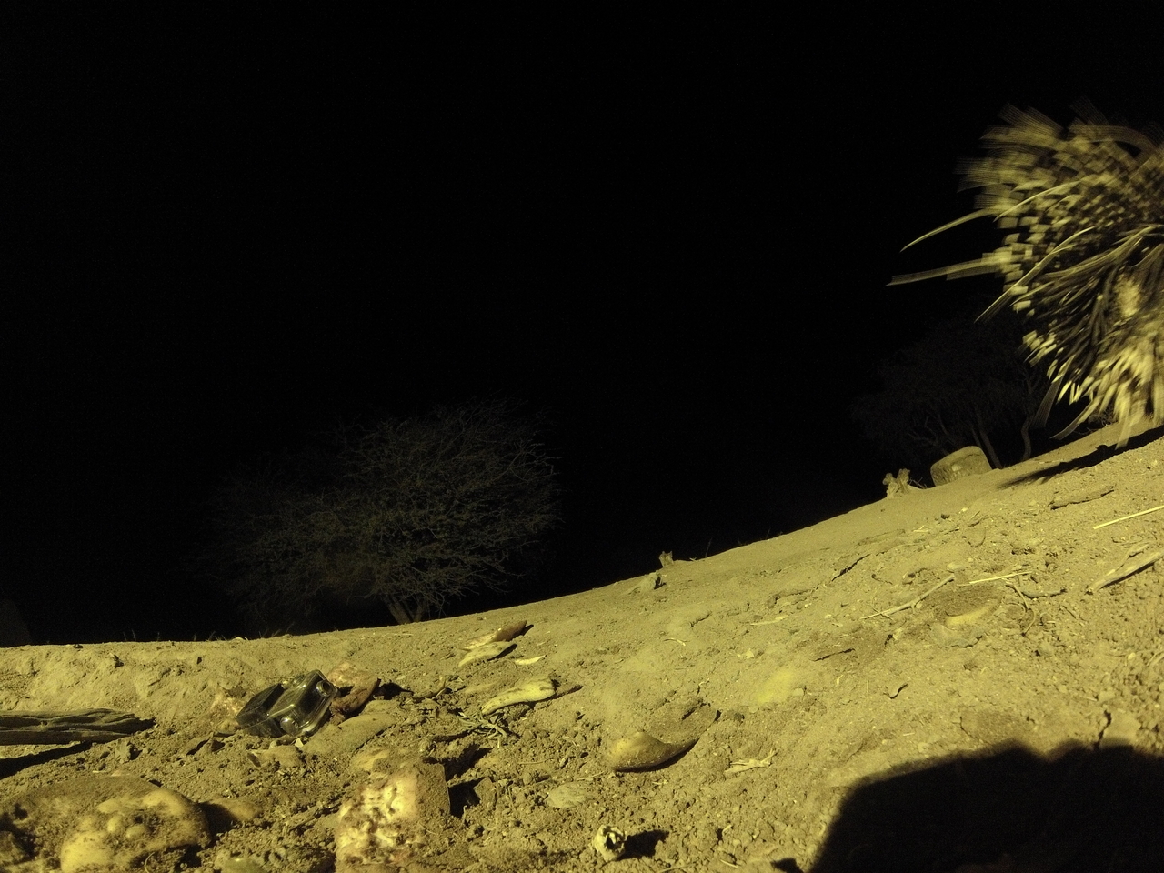 [12314] 2016_06_23_20_13_16_Africa_Hero3-Silver_Edition_IMG__01189.jpg