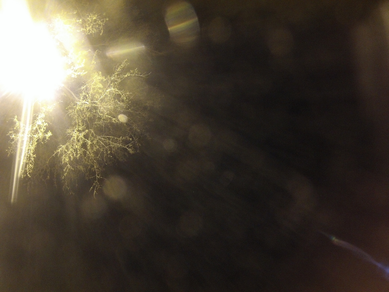 [12625] 2016_06_23_20_17_34_Africa_Hero3-Silver_Edition_IMG__00312.jpg