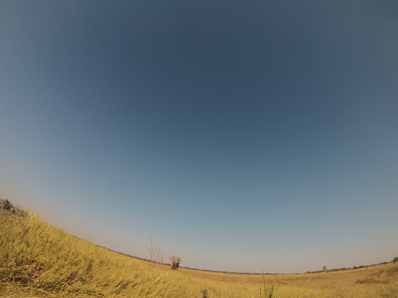 [25429] 2016_06_30_15_01_21_Africa_Hero3-Silver_Edition_IMG__00572.jpg