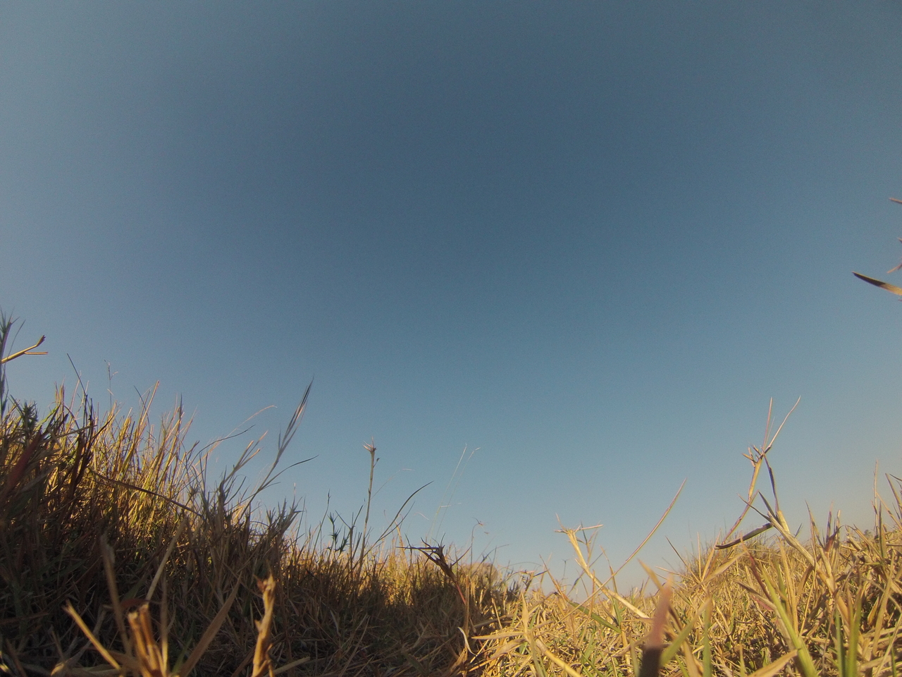 [25657] 2016_06_30_15_03_55_Africa_Hero3-Silver_Edition_IMG__00648.jpg